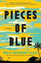 yellow and blue sky with a shadow of a palm tree and shack, text reads pieces of blue by holy goldberg sloan.