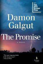 The Promise Book Cover