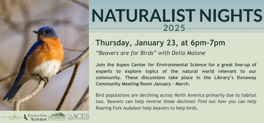 naturalist nights 2025 Thursday, January 23, at 6pm-7pm “Beavers are for Birds” with Delia Malone Join the Aspen Center for Environmental Science for a great line-up of experts to explore topics of the natural world relevant to our community. These discussions take place in the Library’s Dunaway Community Meeting Room January - March. “Beavers are for Birds” with Delia Malone Thursday, January 23, at 6pm-7pm Join the Aspen Center for Environmental Science for a great line-up of experts to explore topics of 