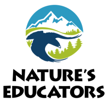 "nature's educators logo of mountains pine trees and an eagle with the wings acting as rivers"