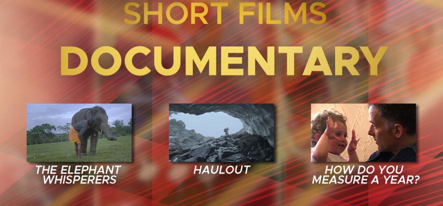 Poster for Documentaries that will be screened at the Library Cinema event 