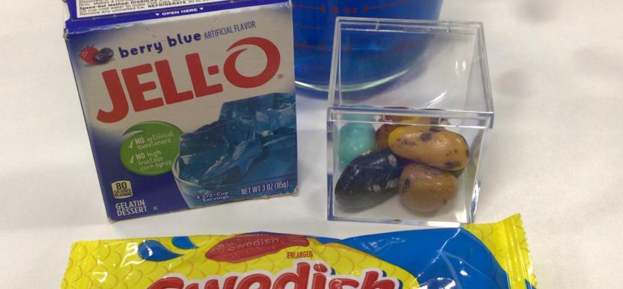 picture of jell and swedish fish supplies