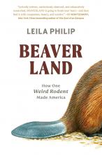 Image depicts the back half of a beaver and its tail
