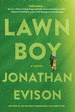 green grass lawn shot from above with boy mowing lawn with a push mower